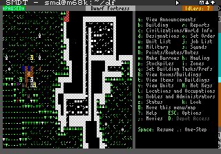 Screenshot of the terminal emulator showing dwarf fortress